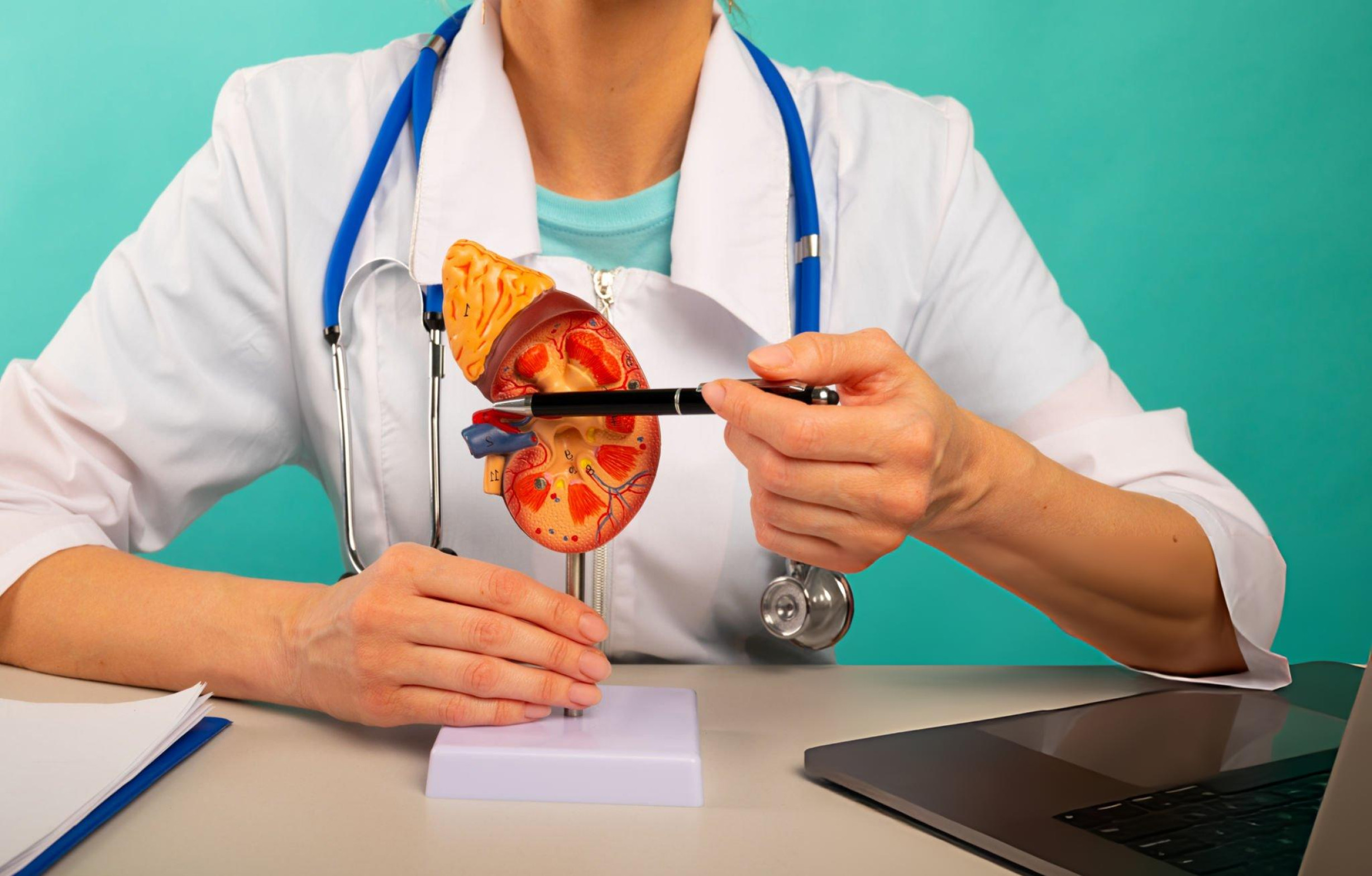 Kidney Care